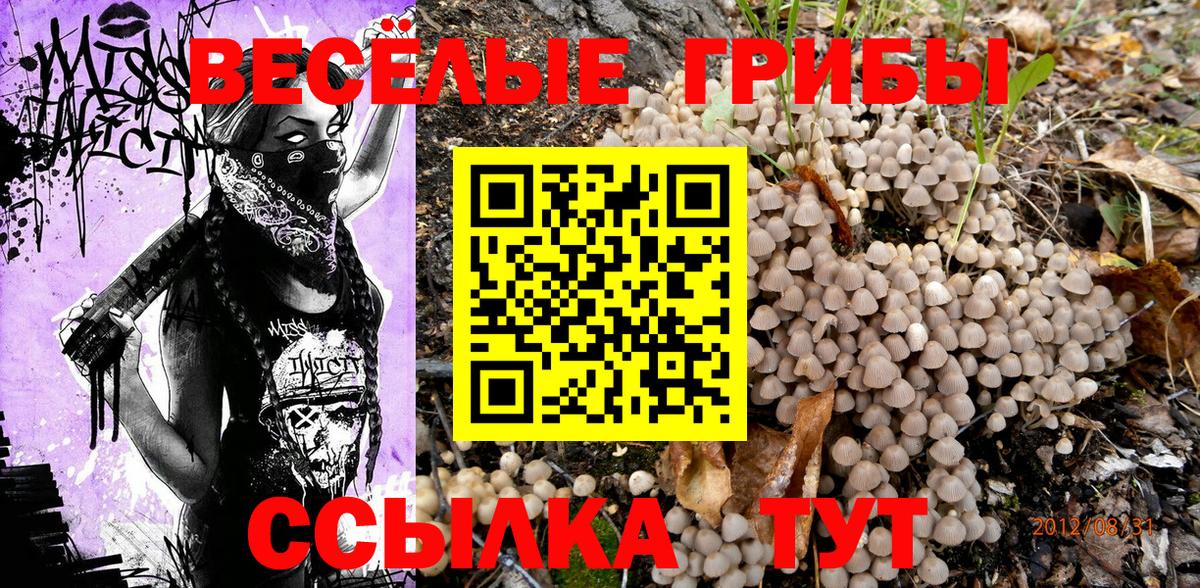 Галлюциногенные грибы ЛСД  магазин  наркотиков  Псилоцибиновые грибы прущие грибы  Дубна  Вход с VPN 