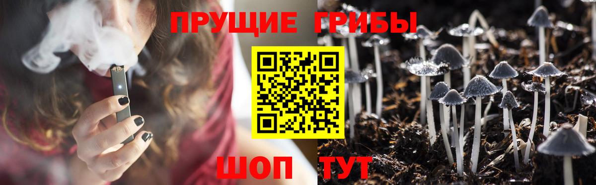Псилоцибиновые грибы Magic Shrooms Дубна